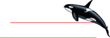 The Plumbline